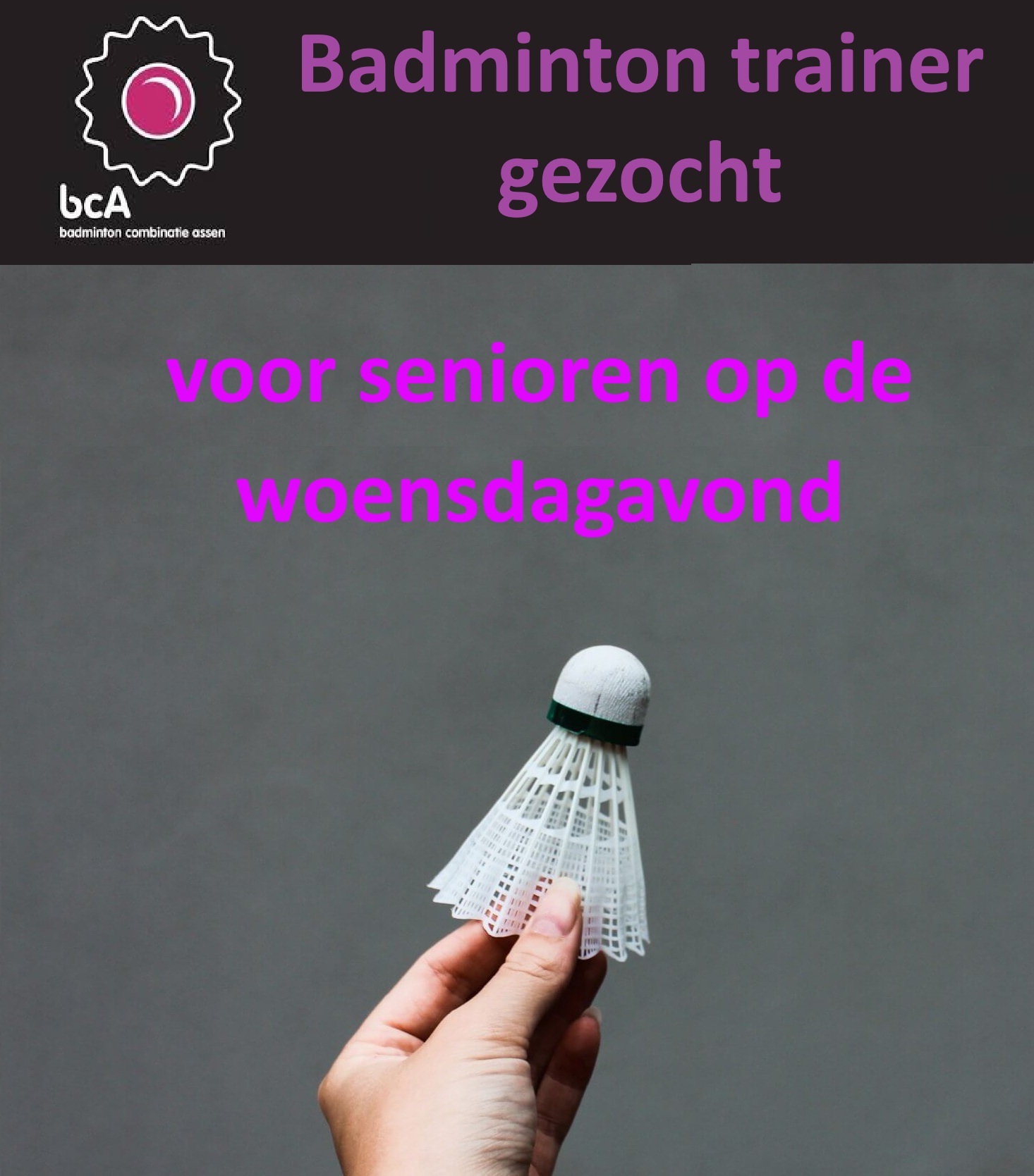 Badminton trainer gezocht voor bcA Senioren op de woensdag